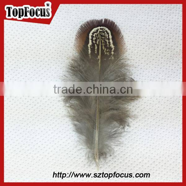 lower price natural synthetic pheasant feathers for carnival costumes