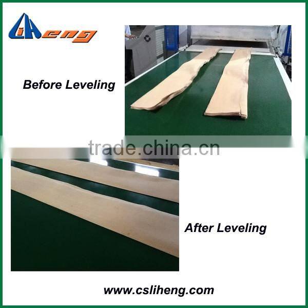 ZP3500, Sliced Wood Veneer Leveling Machine,