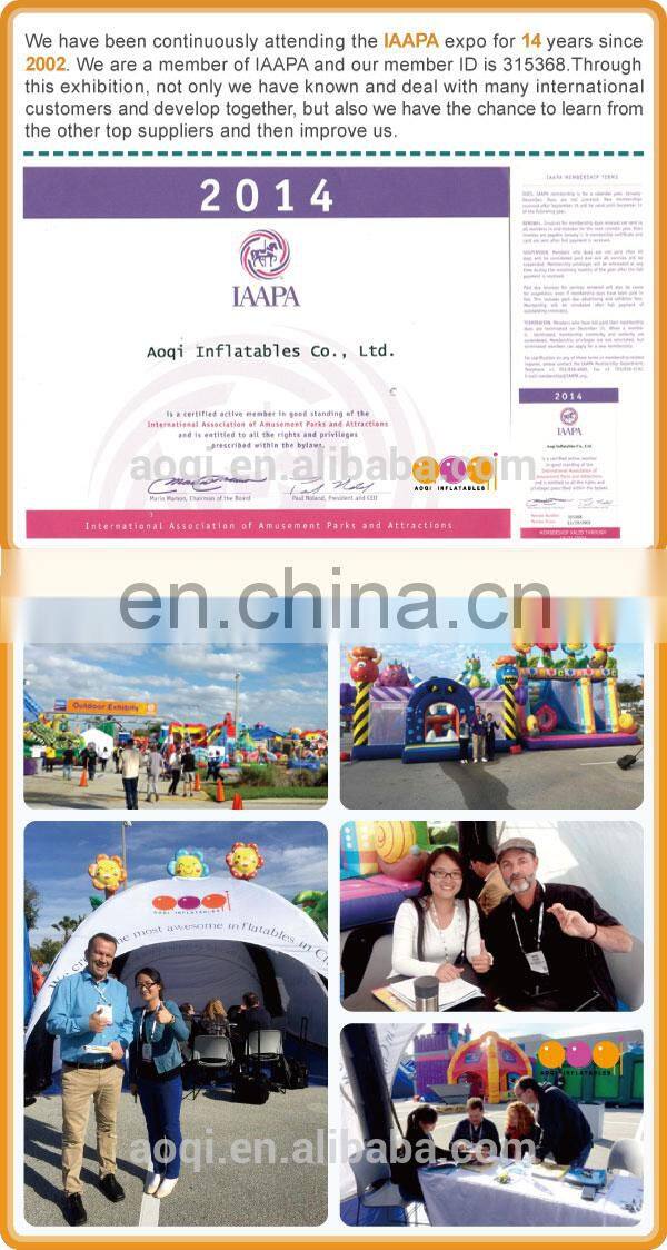 cheap fun child inflatable slide for park