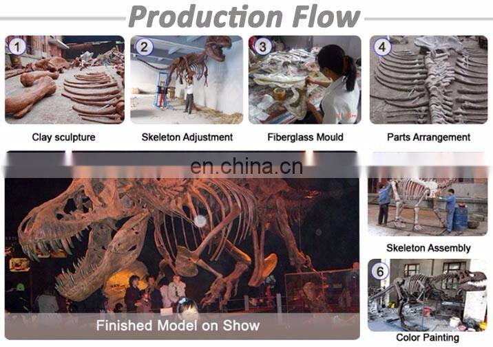 Life size dinosaur skeleton model for sale