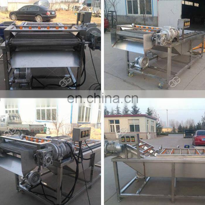 Hot Sale Potato Carrot Onion Carrot Brush Roller Vegetable Washer Peeler Peanut Ginger Cassava Cleaning Fruit Washing Machine