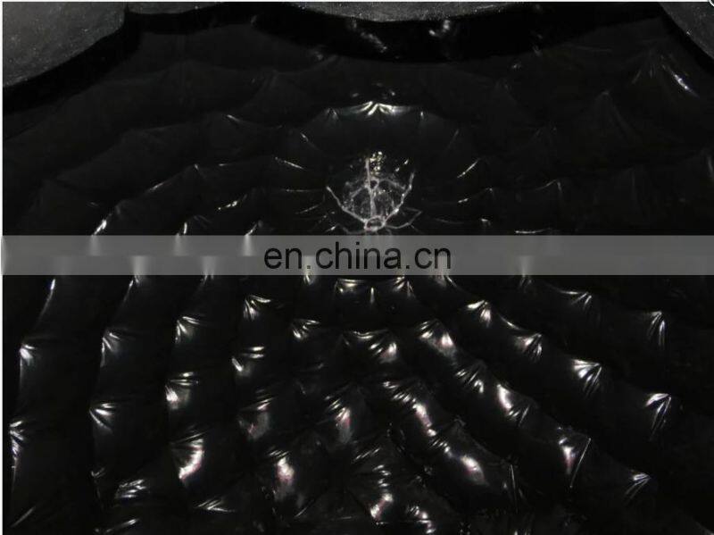 dance dome inflatable bouncer jumping bouncy castle bounce house