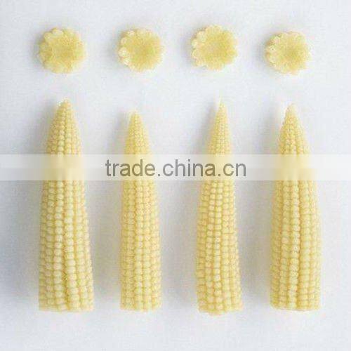 fresh baby corn Canned baby corn