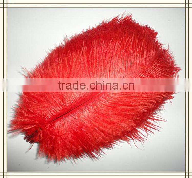 Real Natural Ostrich Feathers for canival, festival decorative feathers wholesale