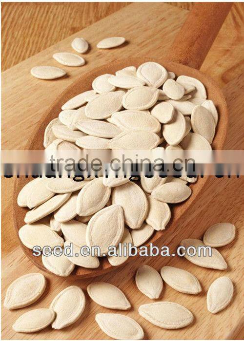 Black Pearl 2 black skin high yield hybrid f1 pumpkin seeds