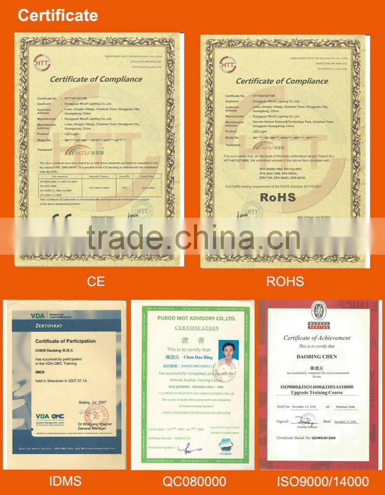 Amazing Swimming Pool Decoartive Colorful LED Peach Lamp