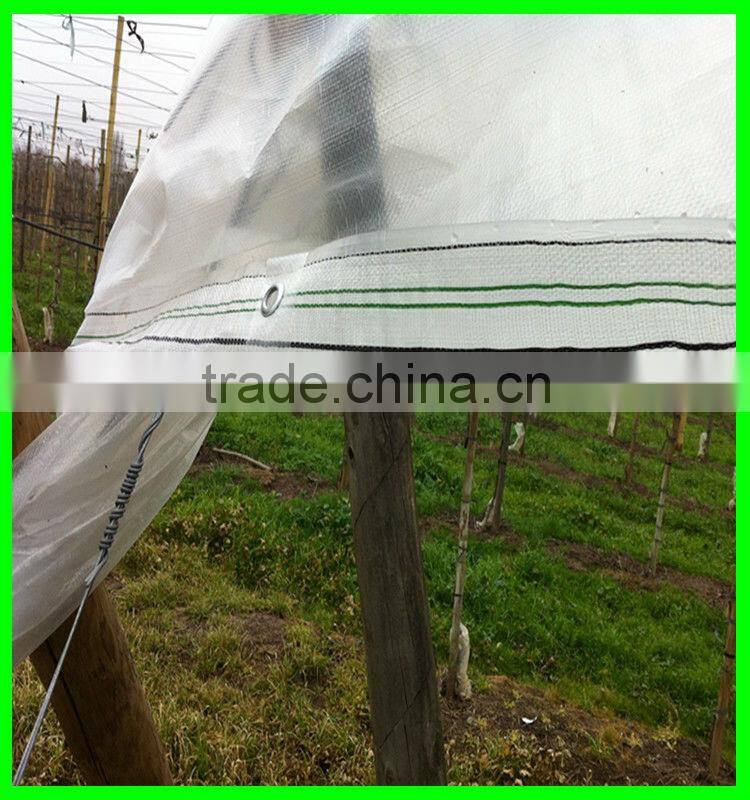 100% virgin with UV treated woven transparent pe cover,cherry anti acid protection cover