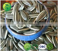 sweet melon seed china supplier