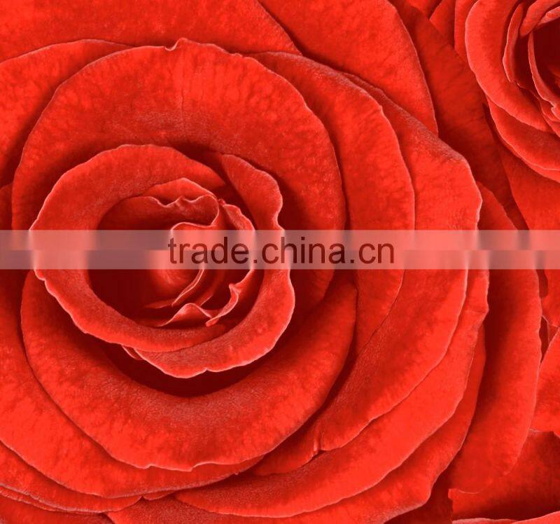 UV decorative Panel Board