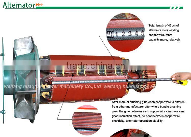 CE Approve small power biogas generator 50kw