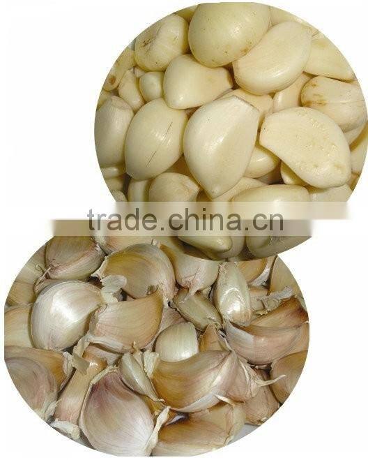 Medium capacity garlic peels removal machine