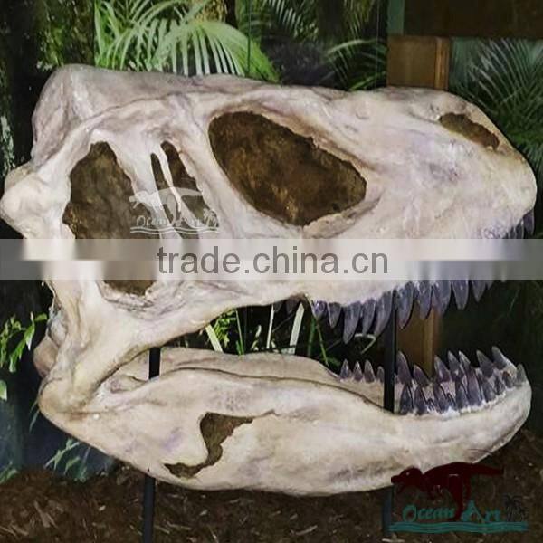 OA-SD-L35 Museum Exhibition Equipment Dinosaur Skull
