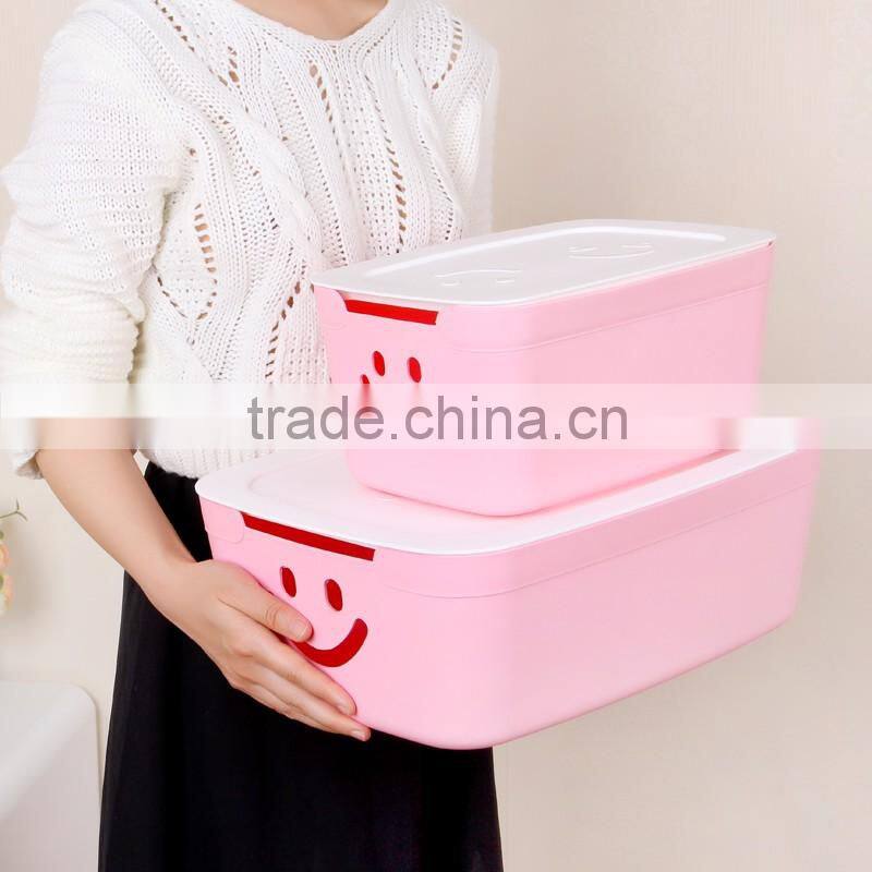 Underwear Socks Ties Bras Wardrobe Home Organizer Drawer Storage PP Plastic Box