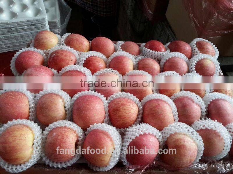 Cold storage fresh apple/low price