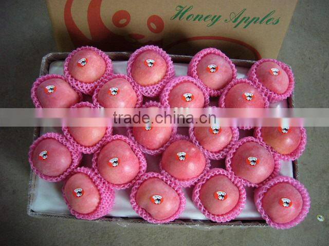 fruits containing vitamin d