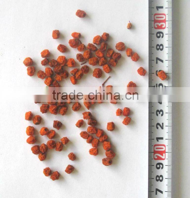 China wild dried mountain ash/rowan (Sorbus pohuashanensis)
