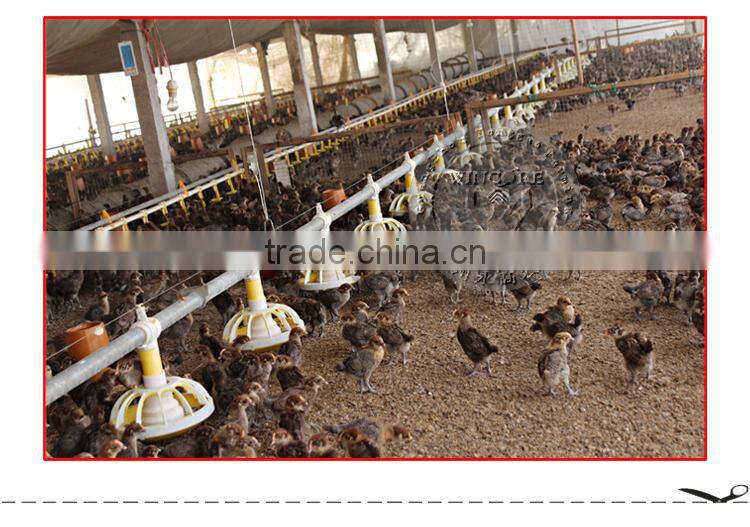 Poultry Automatic Feeding Drinking system for Chicken brolier