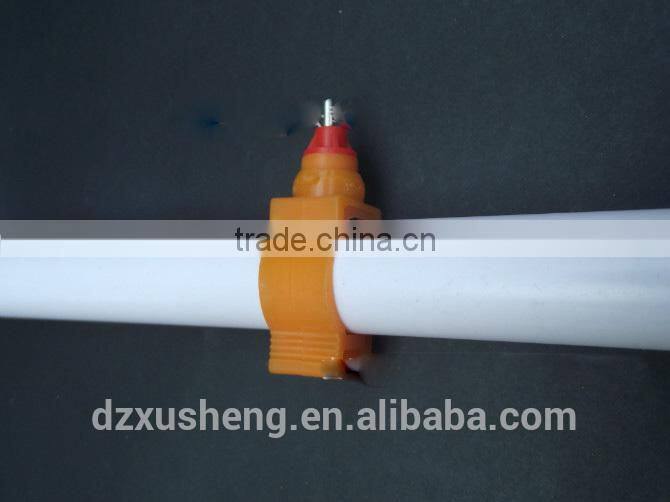 XSC-1 Laying hen cages