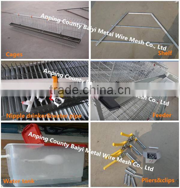 3 Tier Or 4 Layer Chicken Cages/Egg Laying Hen Cage/Battery Cage
