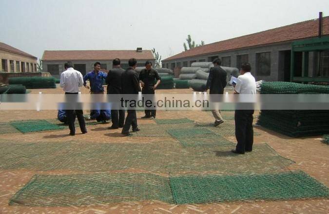 Hexagonal chicken wire mesh/ hexagonal wire netting/ Hexagonal wire mesh