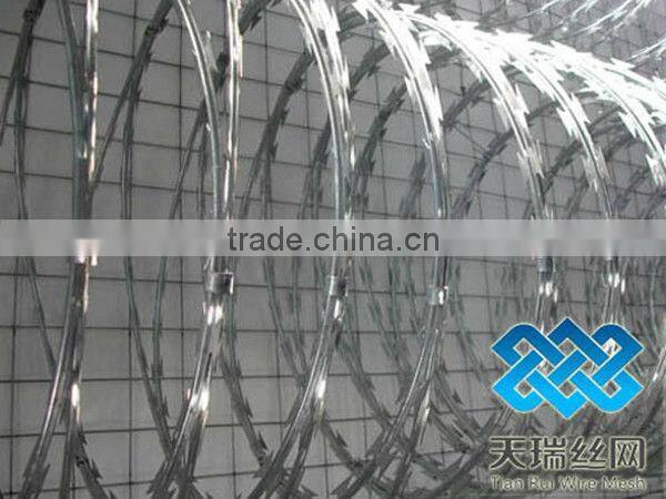 Galvanized Barbed Wire with 4 Points / razor barbed wire