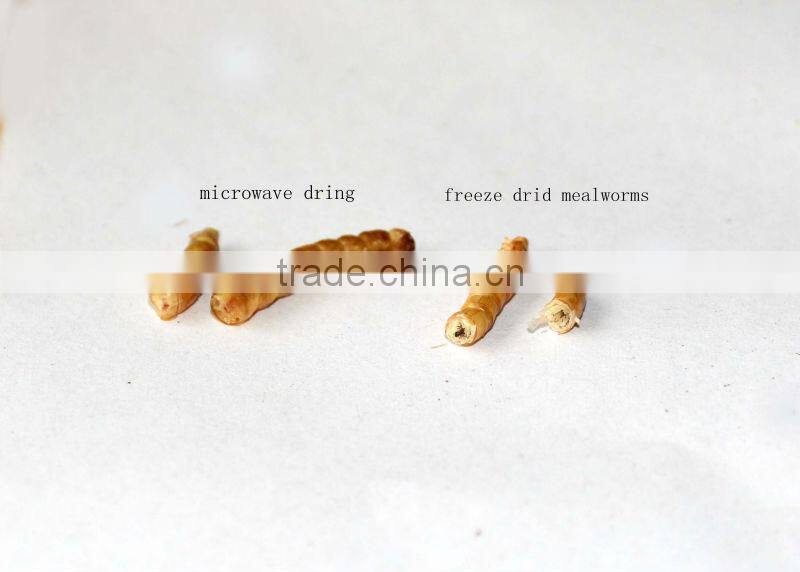 Dried Mealworms For Reptiles Pet Food