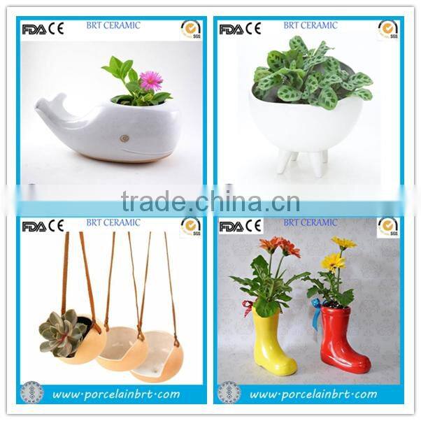 Small Cute Sea Snail Conch Flower Planter for Table