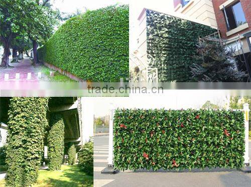 Vertical garden wall planter