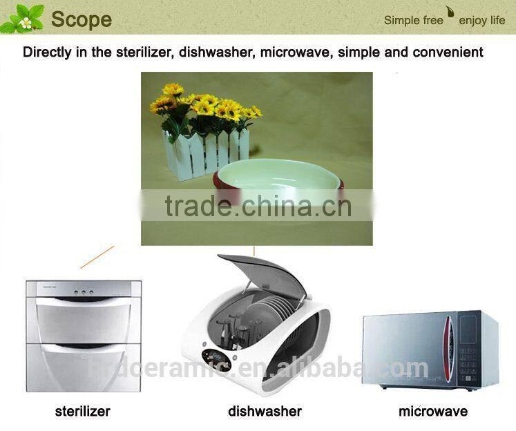 Fire heat-allowed newest colored ceramic bakeware