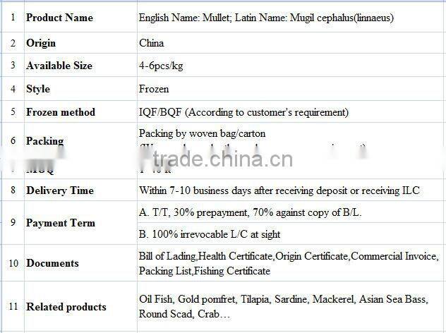 good fish price of frozen mullet