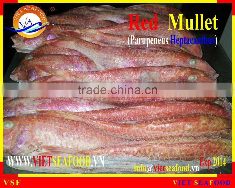 FROZEN WHOLE ROUND RED MULLET