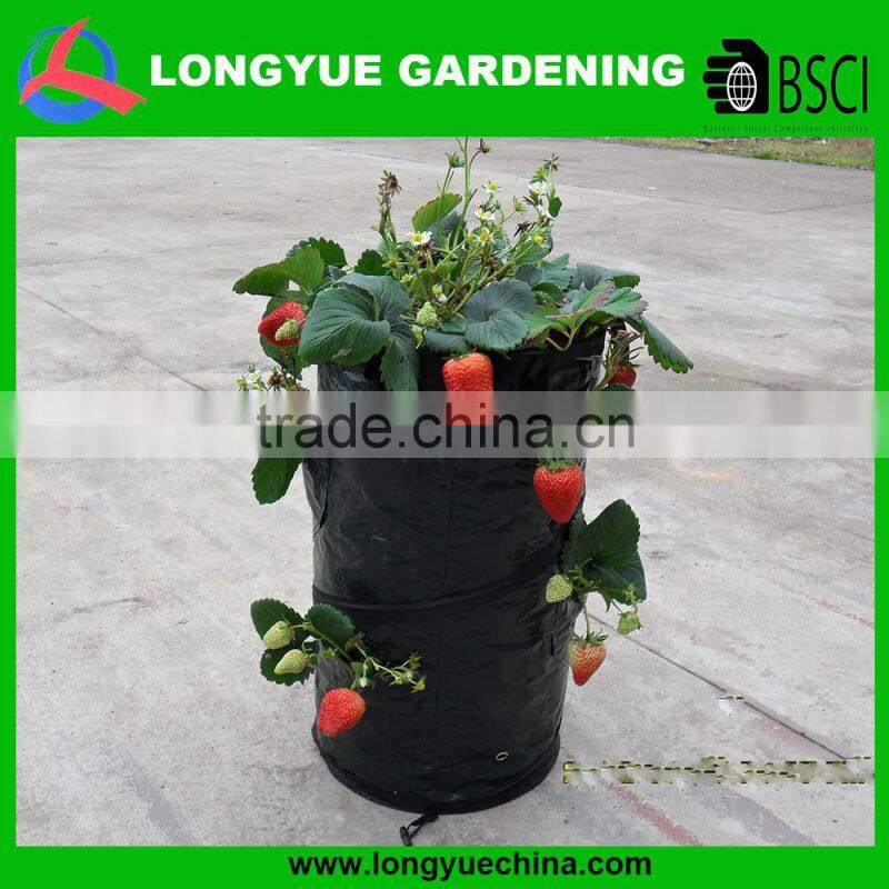 hanging strawberry growing bags