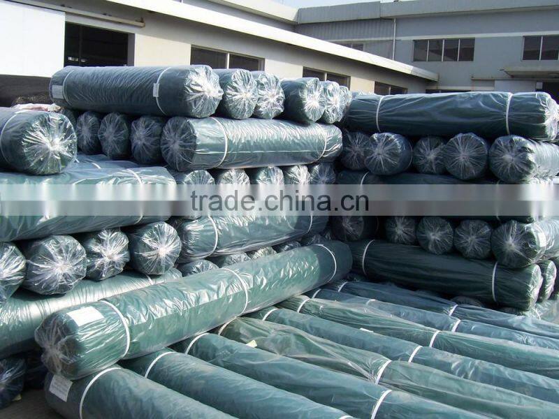 Scaffolding net