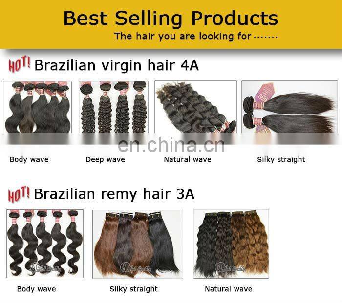 Hot Beauty 24 inch Clip in Human Hair Extensions