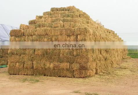 Hydraulic baler for waste Pet Waste Paper Packer For Sale