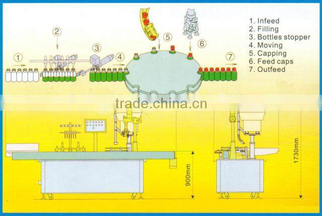 Full automatic capping machine china,sealing machine screw capping,sealing capping machine