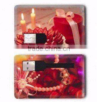 USB Business Card,Bulk 2gb USB Flash Drives,Card USB Flash Drive