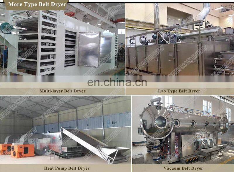 KODI Continuous Cassava Belt Dryer Belt Drying Machine