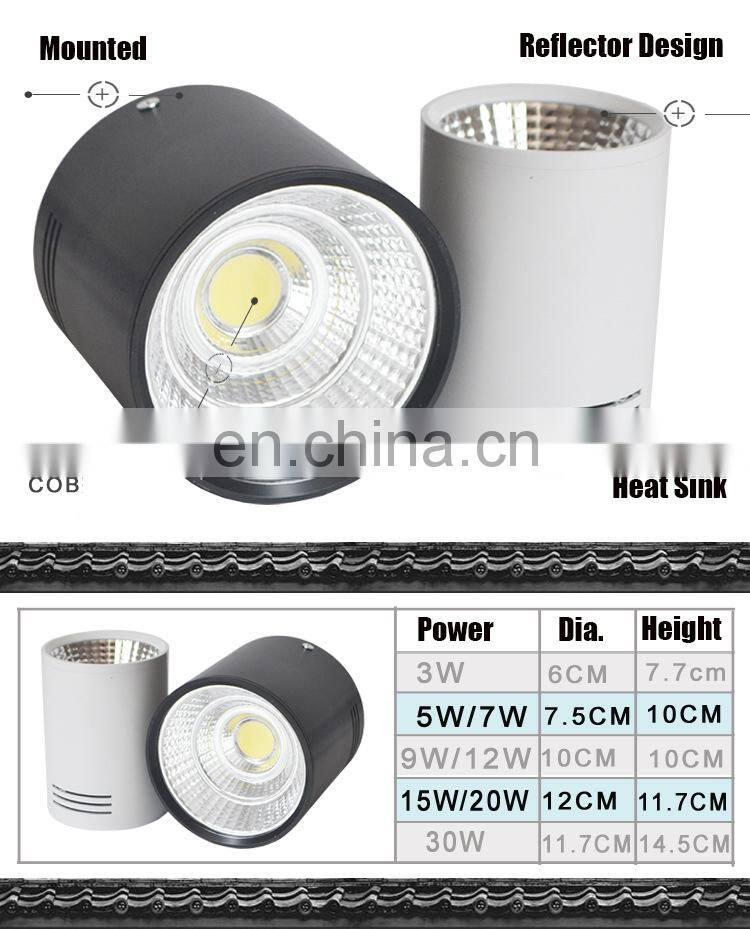 6Inch 180mm Round Cylinder Mounted 30W COB LED Down Light