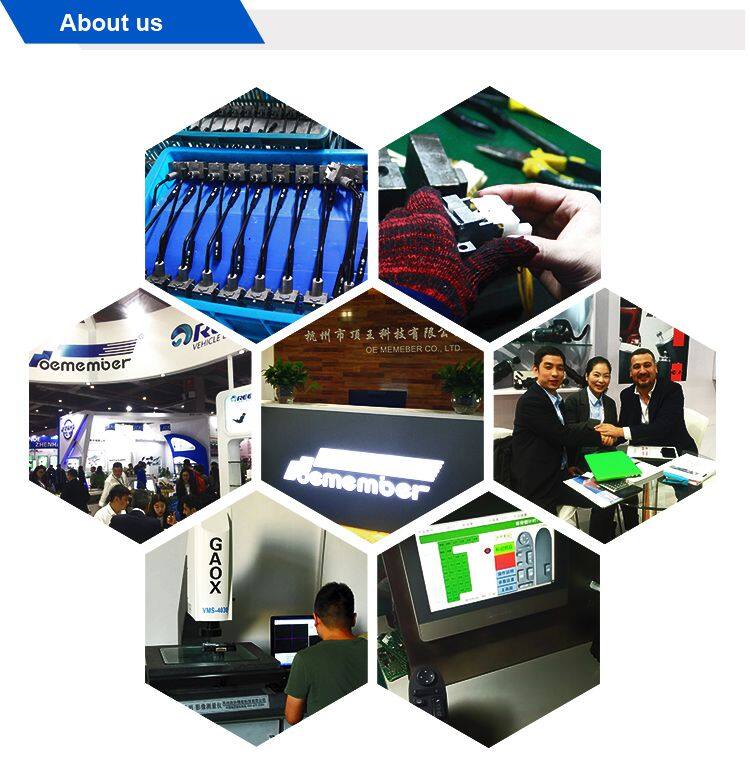 Truck Engine Custom Electric Wire Harness Assembly 504272883 For IVECO