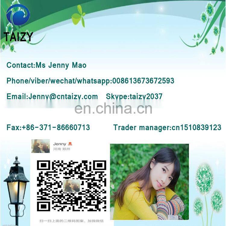 Small Vacuum Vegetable and Meat Mixer Ribbon Blender