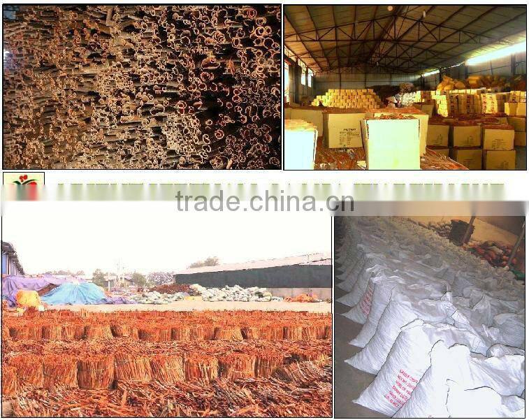 HOT SALE CASSIA SPLIT