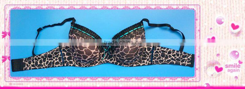 Underwear Set, Women Plus Size Bra Set