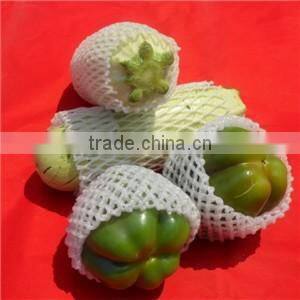 Apple plastic EPE foam net