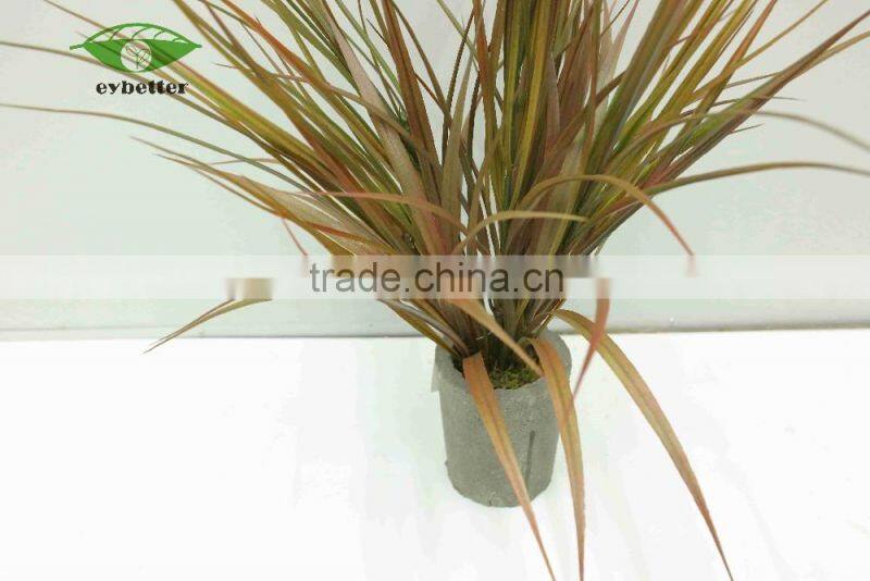 hot selling narture green air plants bonsai for garden decoration