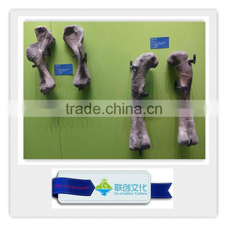 High quality museum life size dinosaur replica