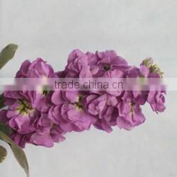Quality wholesale yellow natural orchid flower with 0.3kg/bundle from Yunnan, China