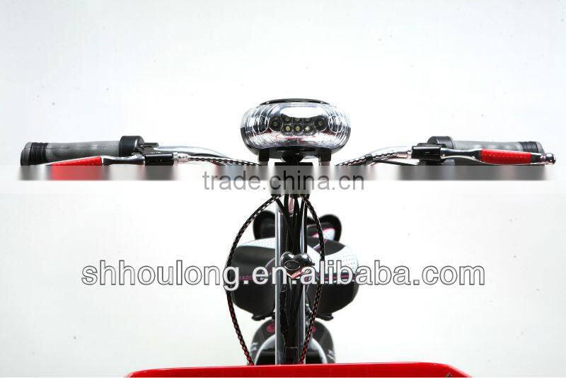 Convenient electric bicycle in india/philippines