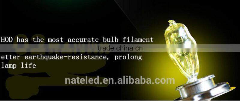 Best Quality ,New Generation Car HOD Light 100w Halogen Lamp