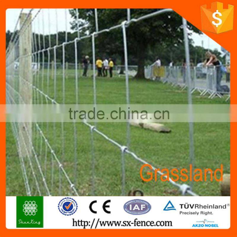 Woven Sheep wire fencing